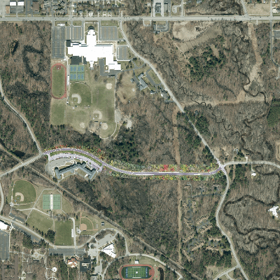 Export Image