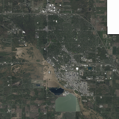 Export Image